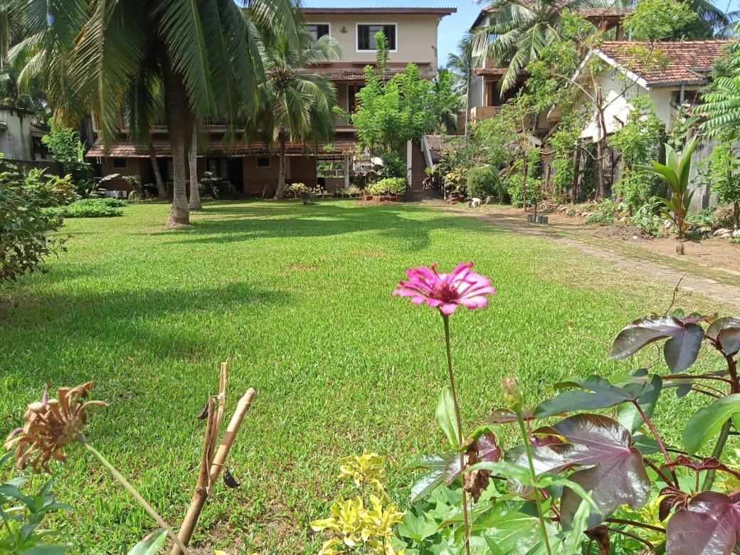 Candle House Kalutara Exteriör bild